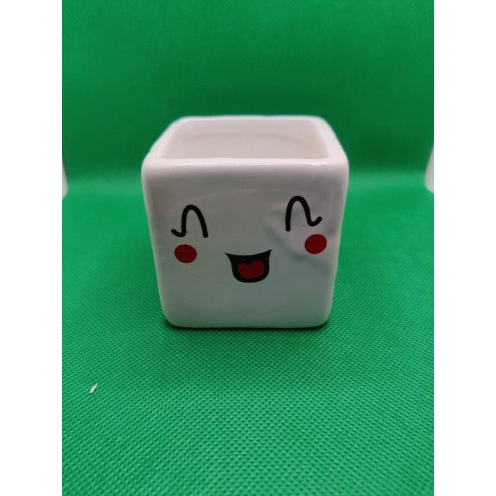 Cute Emoji Planter